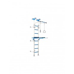 Wallbarz Gym EG-W-055 ladder