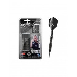 Target Power Storm darts 24 g Steel 200292