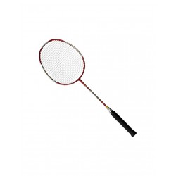 Techman Grafit 5006 Ρακέτα Badminton