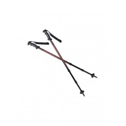 Trekking sticks Spokey Ekvilibro BK OE 923971