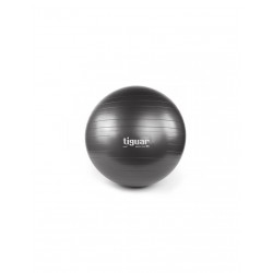 Gym ball tiguar body ball safety plus TISP0065G