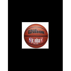 Wilson Jr NBA Fam Logo Μπάλα Μπάσκετ Indoor/Outdoor WZ2009801XB