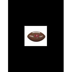 Wilson NFL Team Logo Tampa Bay Buccaneers Ball WTF1748XBTB