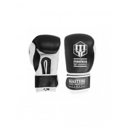 Boxing gloves MASTERS RPUTR 01111212