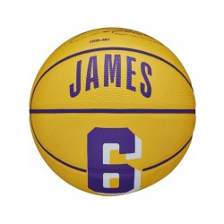 Wilson Player Icon Mini Μπάλα Μπάσκετ Indoor/Outdoor WZ4007201XB LeBron James