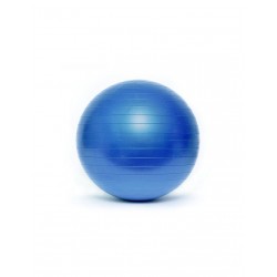 Gymnastic ball BL003 55 cm HSTNK000011192