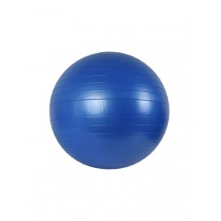 Gym ball 65 cm pump