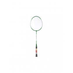 SMJ Teloon TL100 badminton racket