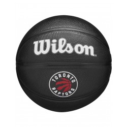 Wilson Team Tribute Toronto Raptors Mini Ball WZ4017608XB