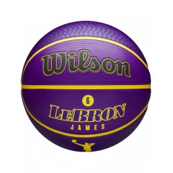 Wilson NBA Player Icon LeBron James Outdoor Ball WZ4027601XB