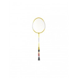 SMJ Teloon TL100 badminton racket