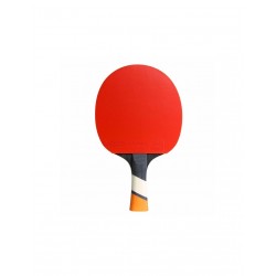 Cornilleau Perform 428000 table tennis bats