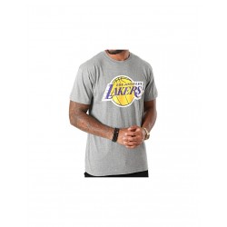 Mitchell Ness NBA Los Angeles Lakers Team Logo Tee M BMTRINTL1268LALGYML