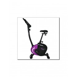 Magnetic bike purple HMS M9239V